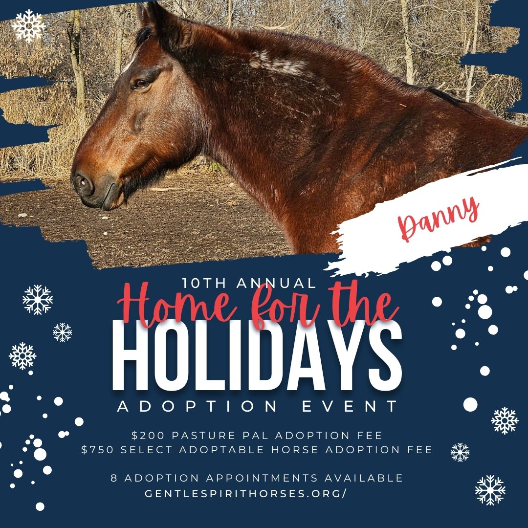 2023 HomefortheHolidays - Danny