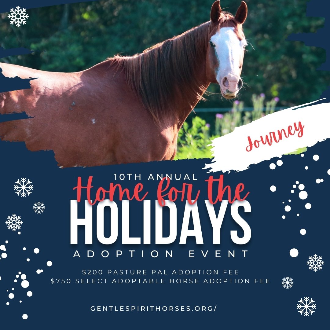 2023 HomefortheHolidays - Journey