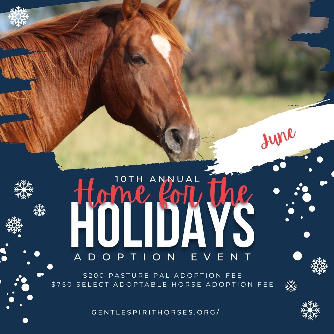 2023 HomefortheHolidays - June