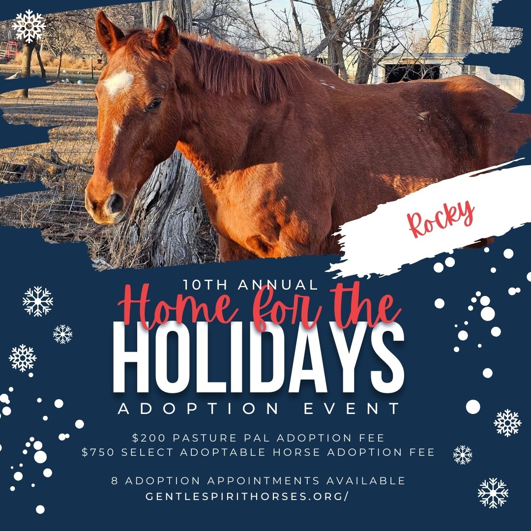 2023 HomefortheHolidays - Rocky