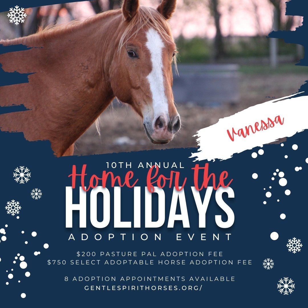 2023 HomefortheHolidays - Vanessa