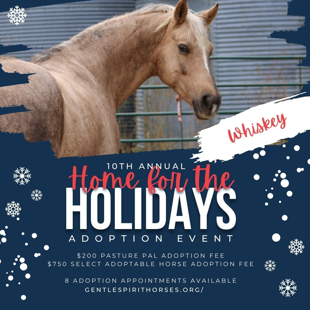 2023 HomefortheHolidays - Whiskey