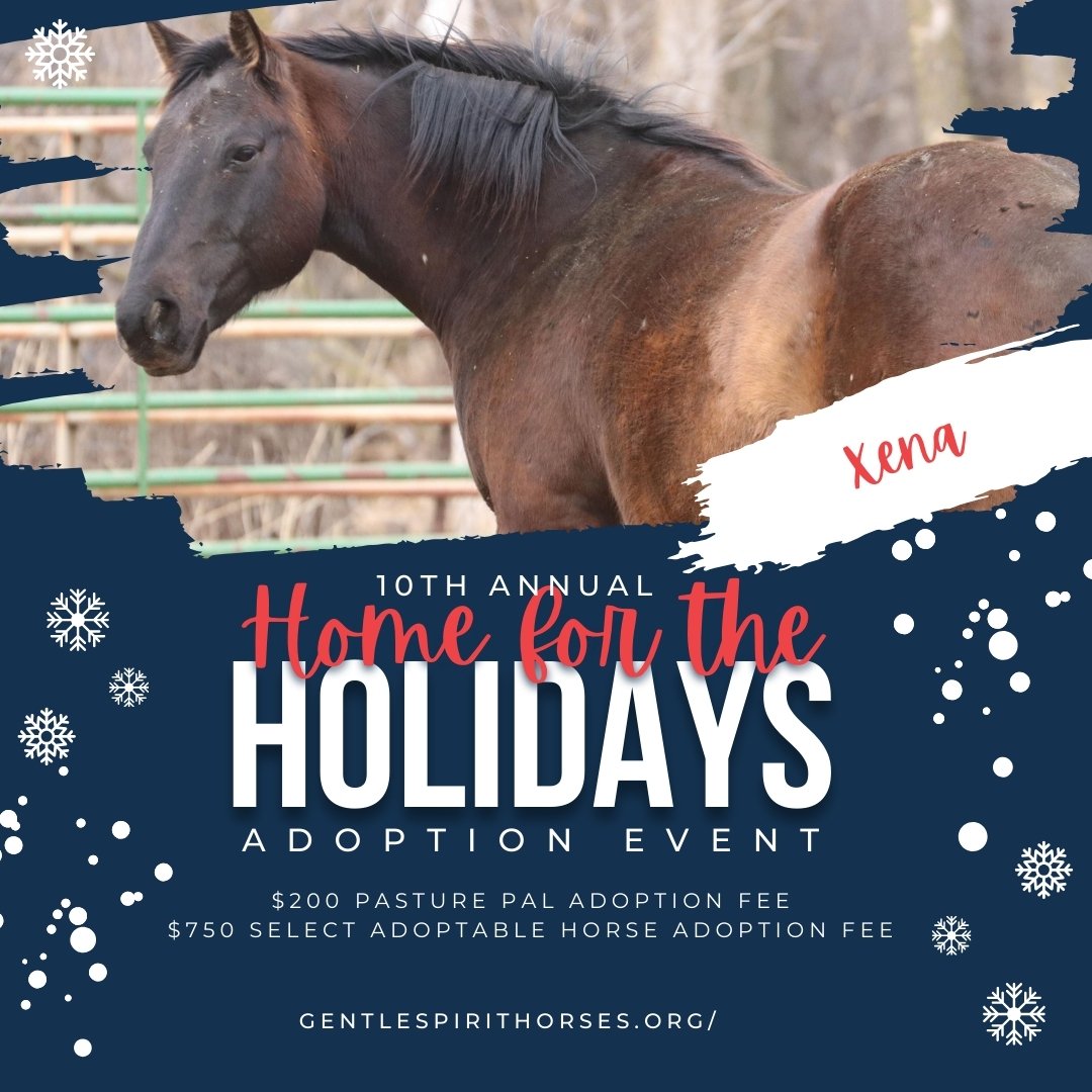 2023 HomefortheHolidays - Xena